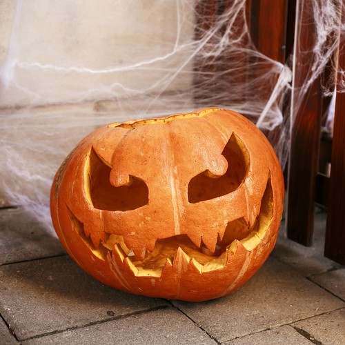 UMELÝ PAVÚČIK + 2 HALLOWEENSKÉ PAVÚKY