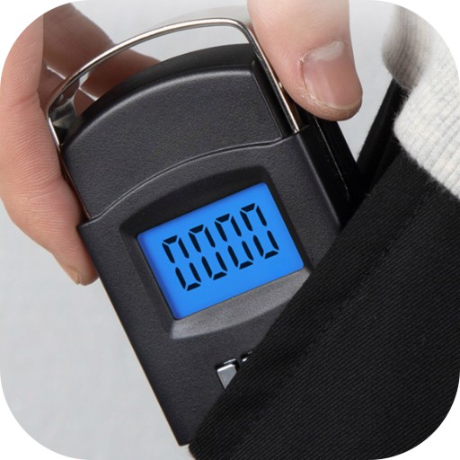 RYBÁRSKY HÁK NA DIGITÁLNU RUČNÚ BATOŽINU 50kg