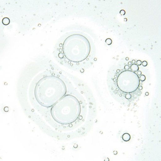 BIODERMA SEBIUM H2O Antibakteriálna micelárna tekutina
