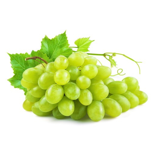 Sirup do Soda FruttaMax GRAPE carbonator 500 ml na 12 l