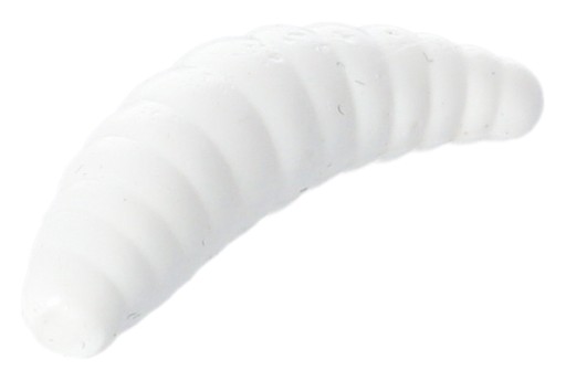 Mikádo nástraha M-Area Maggot 16 kusov, farba W biela