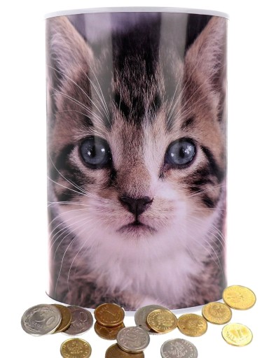 VEĽKÁ KOVOVÁ KRABIČKA BANKOVKY XXL KAT. 3