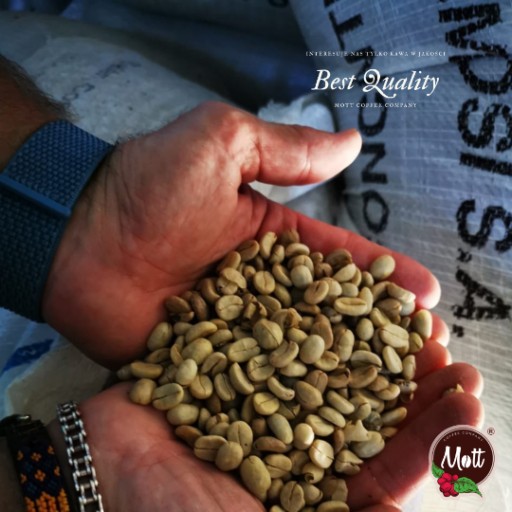 Kávové zrná čerstvo pražené 100% Arabica Costa Rica Mott ŠPECIALITA