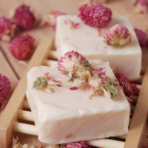 Sušená gomphrena guľovitá vždyzelená 10g