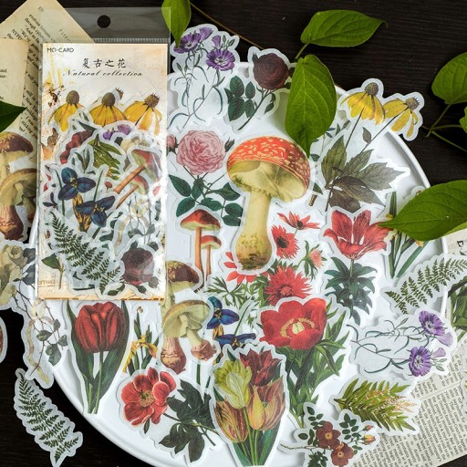 Nálepky na scrapbooking pre deti Rastliny Kvety