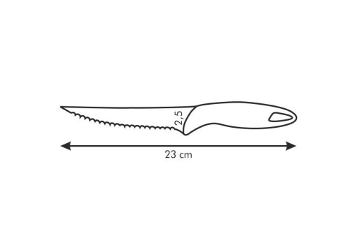Steakový nôž - dĺžka čepele 12 cm | TESCOMA