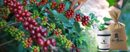 Káva Nation Java Indonesia zrná 250 g
