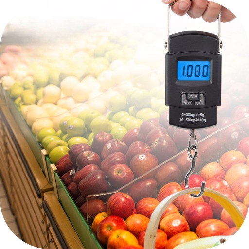 RYBÁRSKY HÁK NA DIGITÁLNU RUČNÚ BATOŽINU 50kg