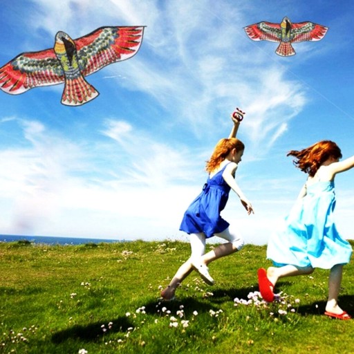 Kite Bird Eagle XXXL Odpudzovač vtákov s Link