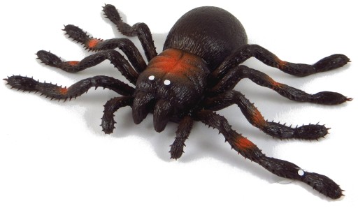 Gumový pavúk tarantule s hráškom 16p