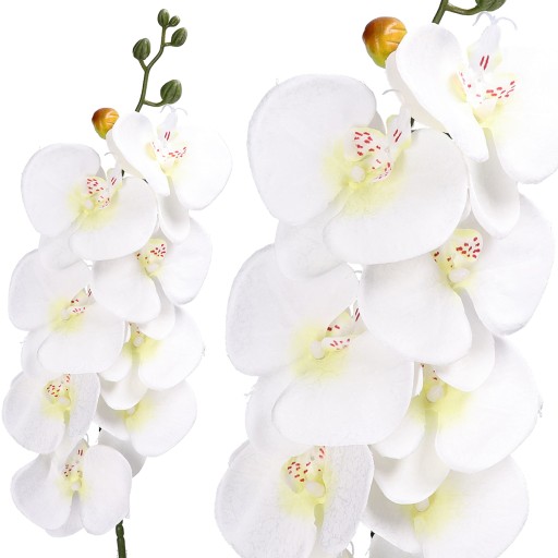 ORCHIDEA ORCHIDEA Vetvička LIVING QUALITY 90cm
