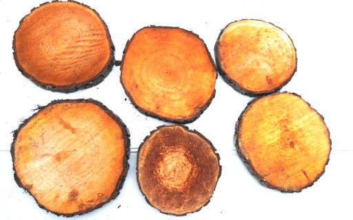 PLÁSOK DREVA PEČIATKY JLŠA 25-30CM, 1KS