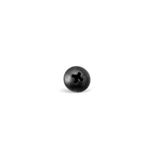 Skrutka PHILIPS TH 9x9,5mm (Chicago) - 10 kusov