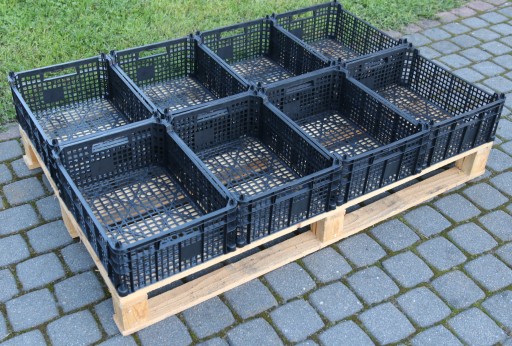 PLASTOVÁ BOX Nádoba na ovocie Warz 40x30x15