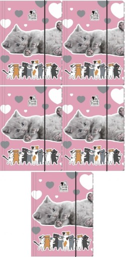 A4 Derform zložka s gumičkou CLEO I FRANK cats x5