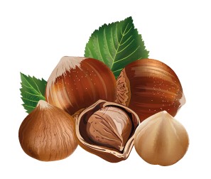 Beskidzki Smar kakaovo-orechový krém 100g
