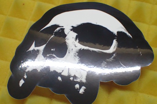 NÁLEPKA HARLEY DAVIDSON SKULL NÁLEŽKA 10,2 x 9 cm