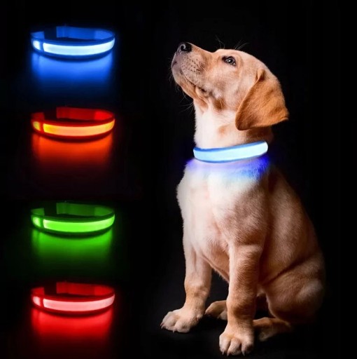 LED OSVETĽOVACÍ OBOJK pre psov a mačky, 37-52 cm, nastaviteľný