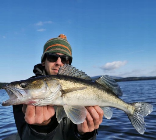 Relax ZANDER RUBBER Ripper OHIO 4'' - 10 cm
