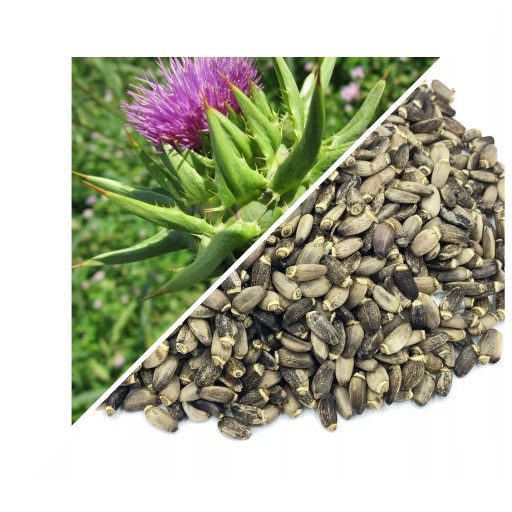 SEMIENKA CELÉHO OSTRIEVAČA 1 KG - LUBLINSKÝ HERBARIAN