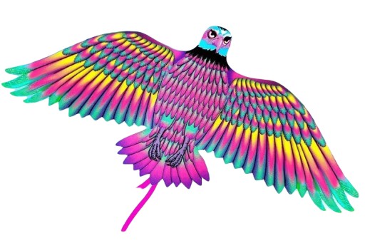 KITE BIRD 4050