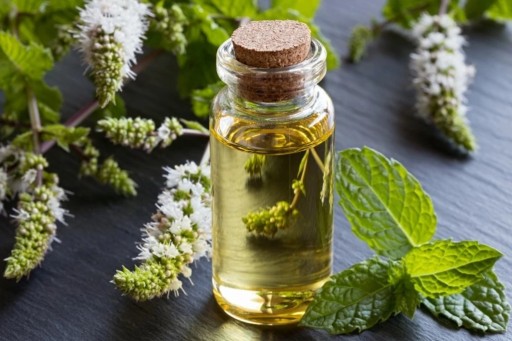 EUKALYPTOVÝ OLEJ NA NÁPLNKU, SINUSY A INHALÁCIE BOLESTI HLAVY 6ml