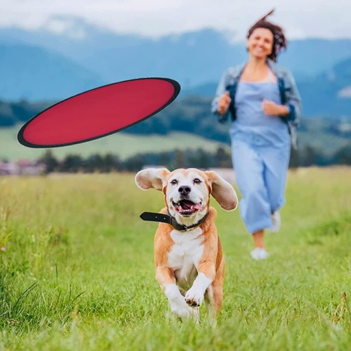 FRISBEE HRAČKA PRE PSA HRAČACÍ KRUH 25 CM MIX
