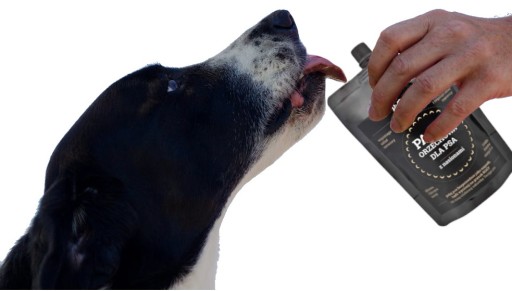 ROGY ORIEŠKOVÁ PASTA SEEDS DOG DREAM 300G