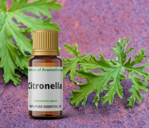 Inštitút vône citrónového oleja CITRONELLA
