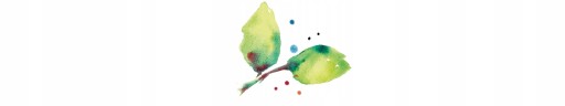 BIO KOKOSOVÉ ČIPESKY so SLANÝM KARAMELOM vegánske 40g