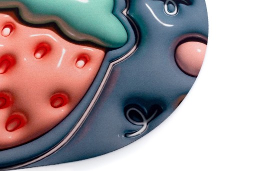 3D protišmyková absorpčná podložka do kúpeľne Magic 21