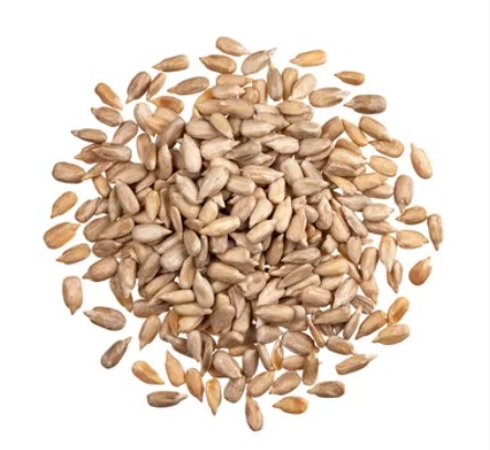 LÚPANÉ SLNEČNICOVÉ SEMIENKA Kvalitné 1KG