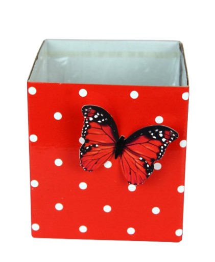 Flower Box Box so štvorcovým motýľom