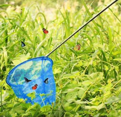 Teleskopická motýľová sieť na bazénové ryby