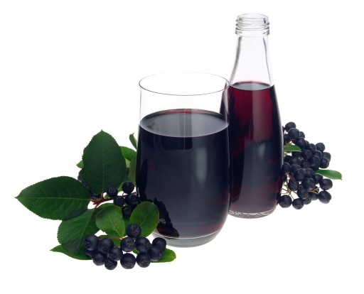 Sušená ARONIA 500g čisté Flavo