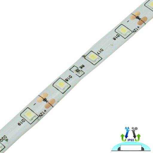 LED pás 300 2835 4,8W Studená biela 5m IP63