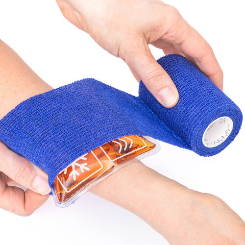 Vitammy Autoband súdržná bandáž pre psov 2,5 cm
