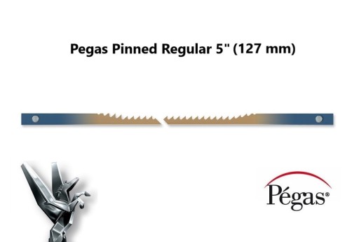 Pílový kotúč s čapmi PEGAS 127/134 mm 10 TPI 1 ks