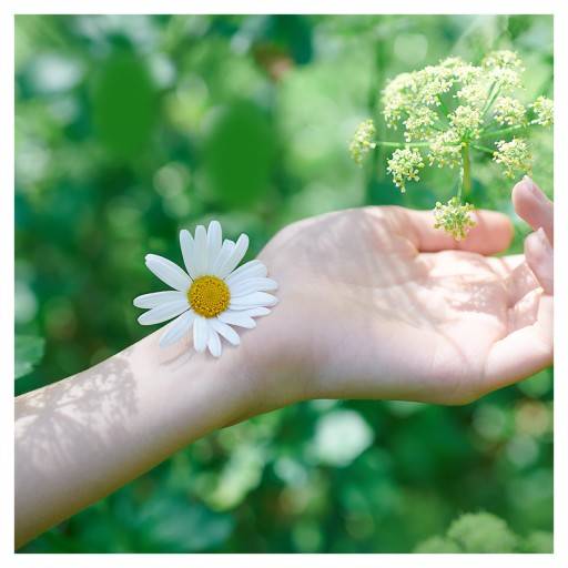 Naturella Ultra Normal Calendula hygienické vložky 10 ks