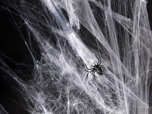 UMELÝ PAVÚČIK BIELY HALLOWEEN-60G-0716