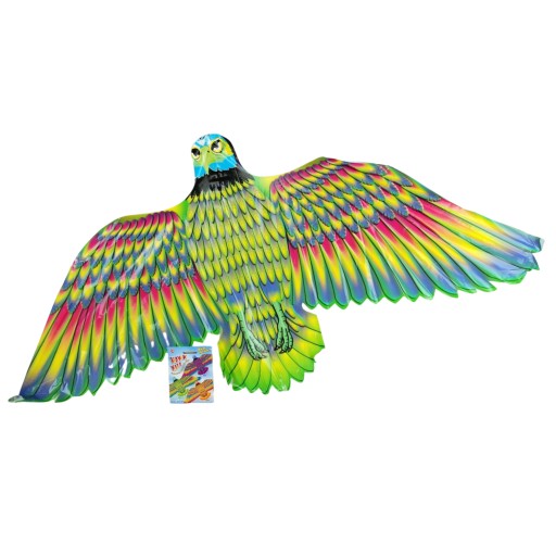 KITE
