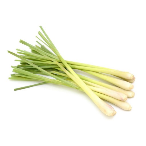 Thajská pasta z citrónovej trávy Lemon G 100ml