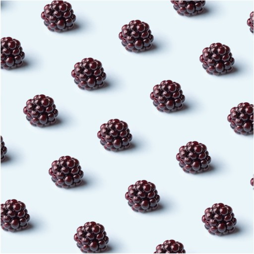MRAZOM SUŠENÁ BLACKBERRY 25g HiFOOD BEZ KONZERVANTOV