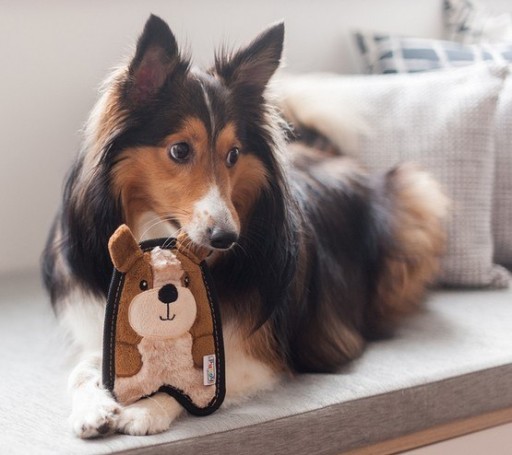 Outward Hound Invincibles Minis Brave šteniatko