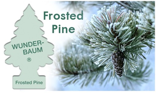 WUNDER BAUM SCENT Vianočný osviežovač FROSTED PINE borovica