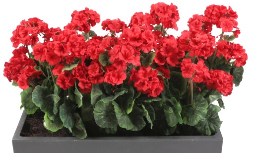 Umelé kvety Geranium na balkónovú terasu - ružová
