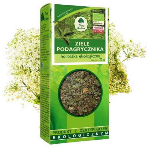 DARY NATURY PODAGRYCZNIK ZIELE ECO 25g