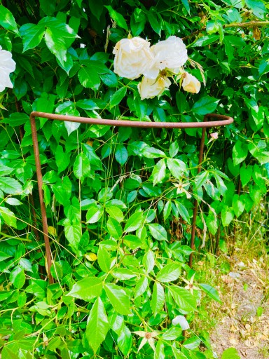 Podpera pre hortenzie, rastliny, kvety, pergola, 30/50 cm, podpery pre monstera ruže