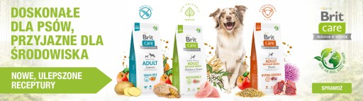Brit Care Dog Sustainable Adult Large Insects 1kg