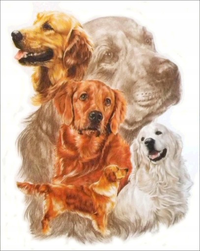 Diamantová maľba DOG DIAMANTOVÁ VÝŠIVKA DOG 5D Diamond Paintings SET